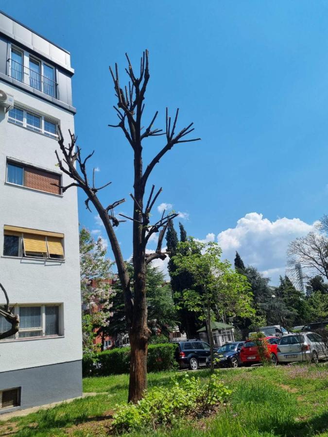 Atelje Leilighet Podgorica Eksteriør bilde