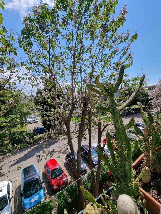 Atelje Leilighet Podgorica Eksteriør bilde